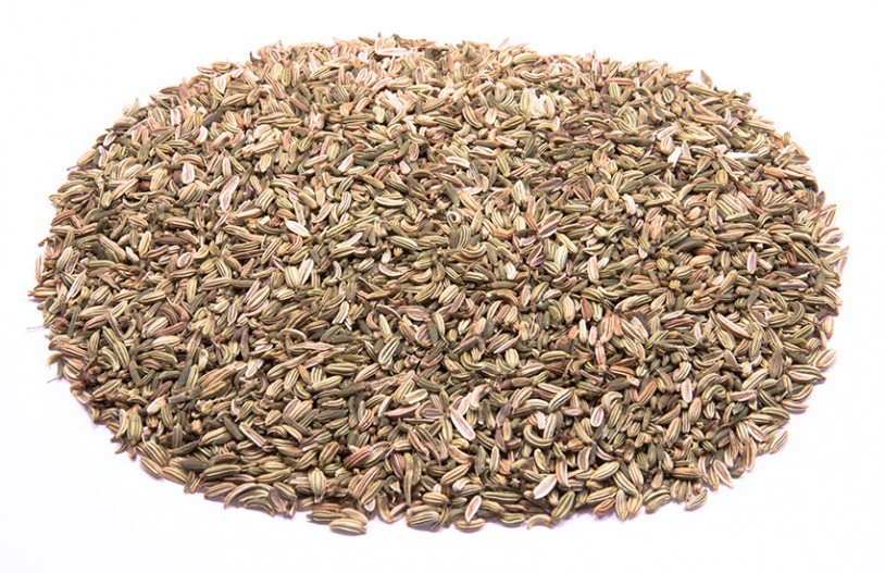 Bio Fenchel / Fencheltee