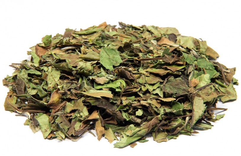 Weißer Tee Bio Fujian Pai Mu Tan