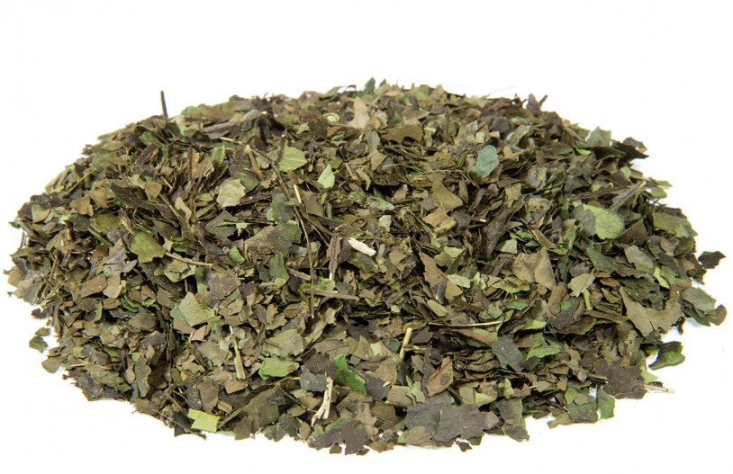 Guayusa