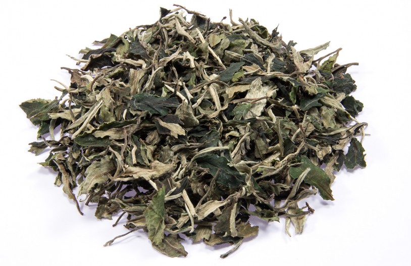 Yunnan Pai Mu Tan