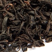 Assam Hatidubi Smokey 'Fu Soonga'