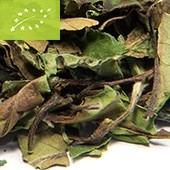 Weißer Tee Bio Fujian Pai Mu Tan