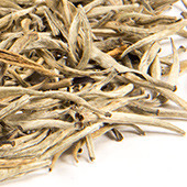Weißer Tee Ceylon 'Kirkoswald' - Silver Needle
