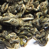 Grüntee 'Magnolia Green Snail'