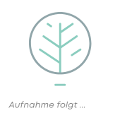 Flugtee Darjeeling* 'Puttabong' First Flush FTGFOP1 DJ 04/2025