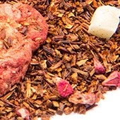 Rooibos 'Kap der Guten Hoffnung' (Rotbusch)