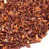 Rooibos 'Perle des Nils'