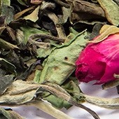 Weißer Tee 'Rosen Pai Mu Tan'
