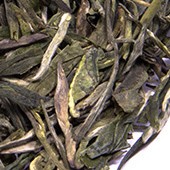Xue Long (Weißer Tee)
