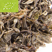 Bio Weißer Tee Nepal 'Pathivara'