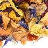 Früchtetee 'Karibischer Traum' mit Stevia