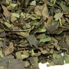 Guayusa