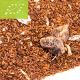 Bio Rooibos 'Dattel'