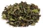 China 'Fuding Pai Mu Tan Special Grade' 