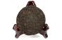 Pu-Erh Beeng Cha (Teekuchen shu / cooked) - 100g