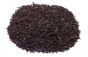 Darjeeling Jungpana Second Flush SFTGFOP1 