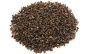 Bio Darjeeling 'Sungma' Second Flush BPS