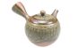 Kyusu 'Kaori' aus Tokoname, 300ml