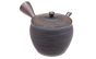 Kyusu 'Kiyomi' aus Tokoname, 200ml