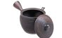 Kyusu 'Kiyomi' aus Tokoname, 200ml