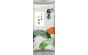 Japan Kumamoto Kamaguri-Cha